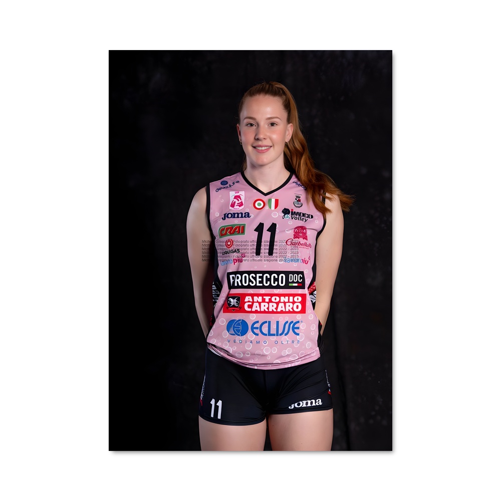 Poster Isabelle haak netball